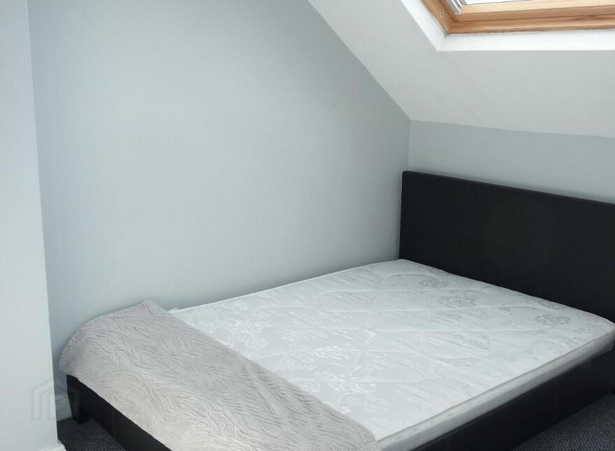 16 Rathcool Street, Off Lisburn Road, Belfast, BT9 7GA