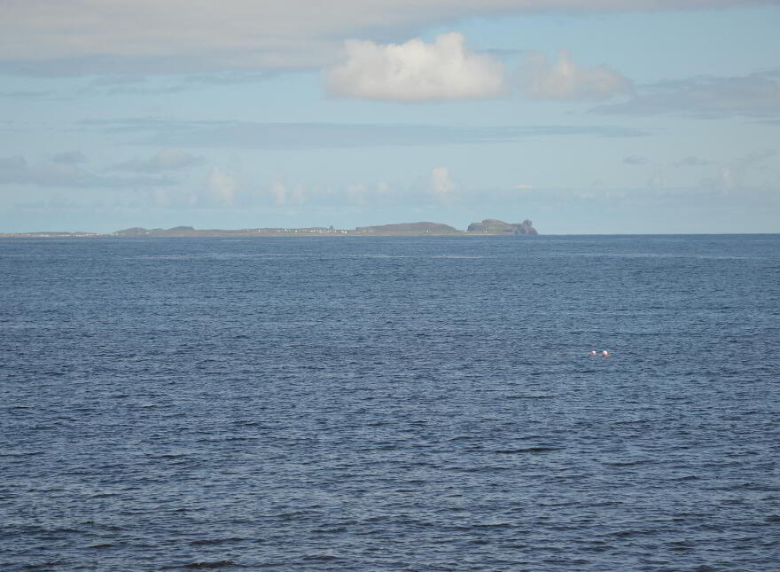 Curransport, Gortahork