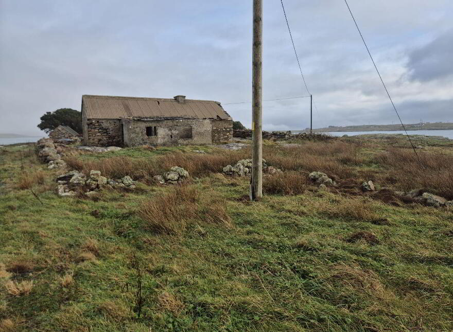 Derelict Cottage, Clifden, ON