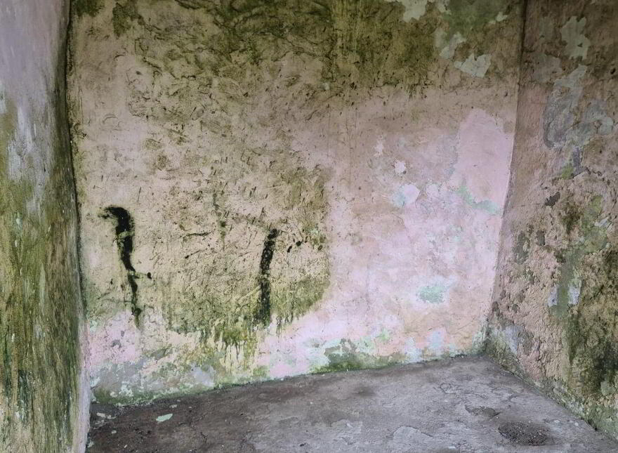 Derelict Cottage, Clifden, ON