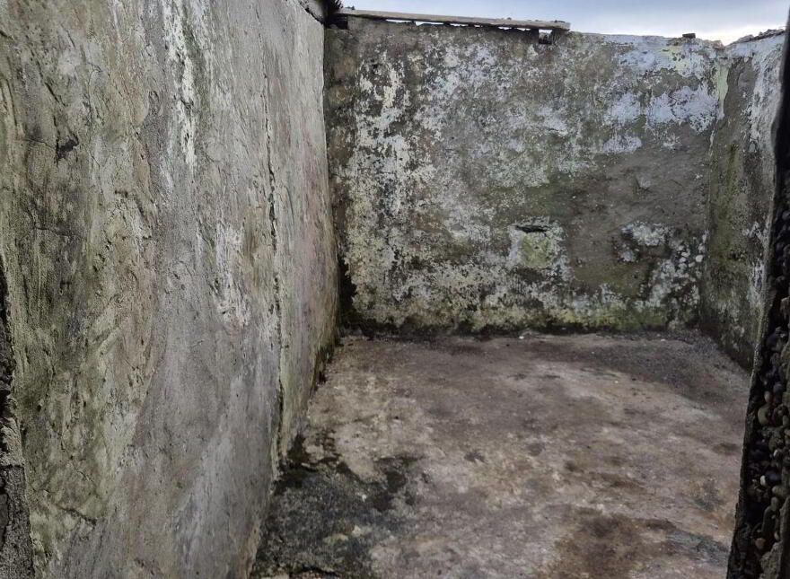 Derelict Cottage, Clifden, ON