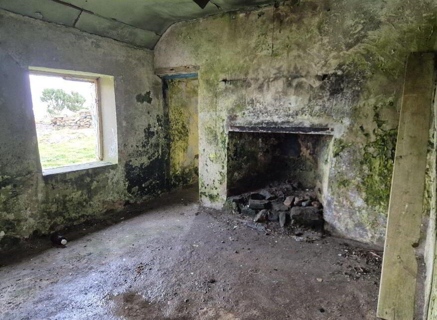 Derelict Cottage, Clifden, ON