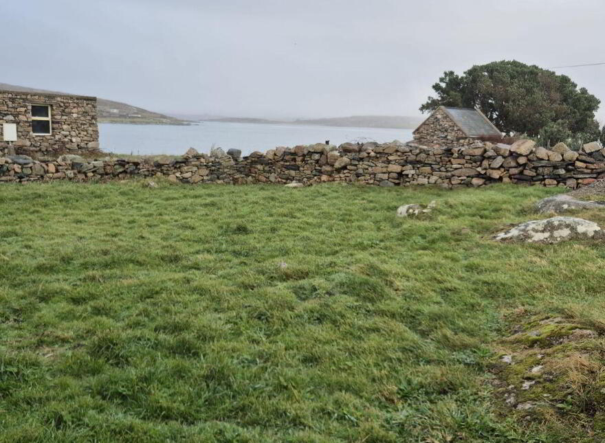 Derelict Cottage, Clifden, ON