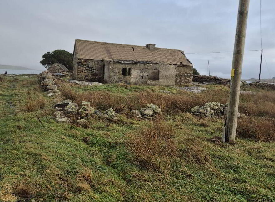 Derelict Cottage, Clifden, ON