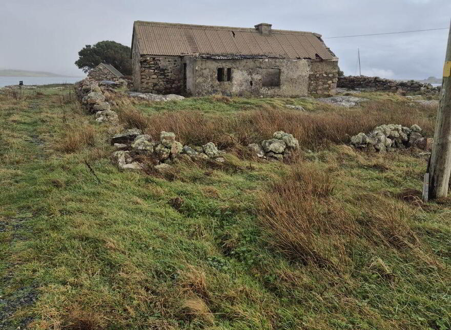 Derelict Cottage, Clifden, ON