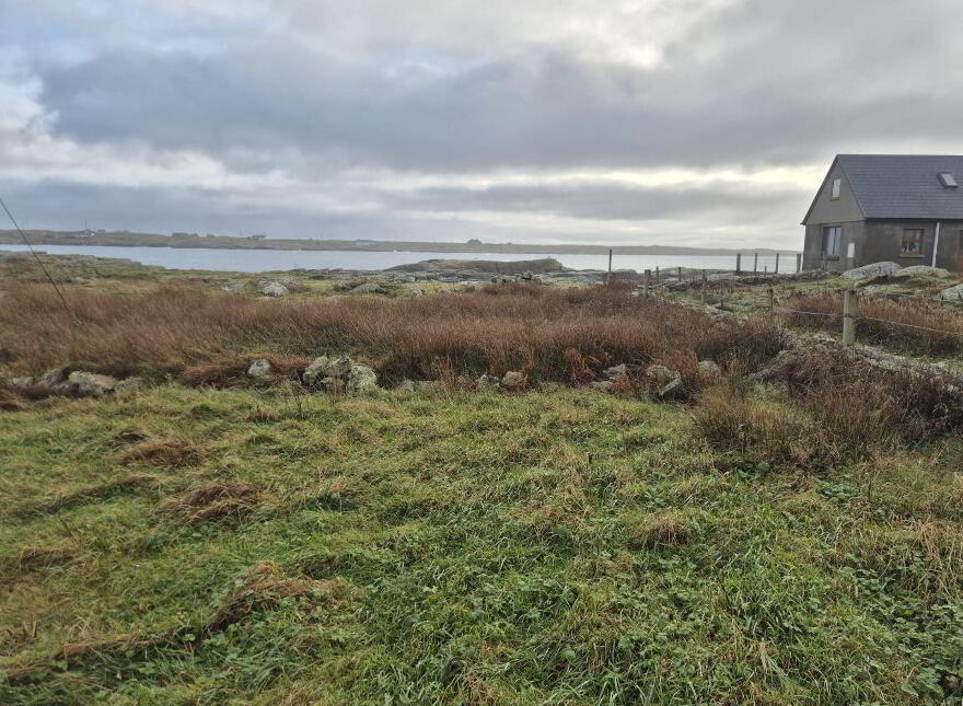 Derelict Cottage, Clifden, ON