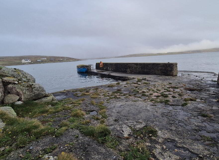 Derelict Cottage, Clifden, ON