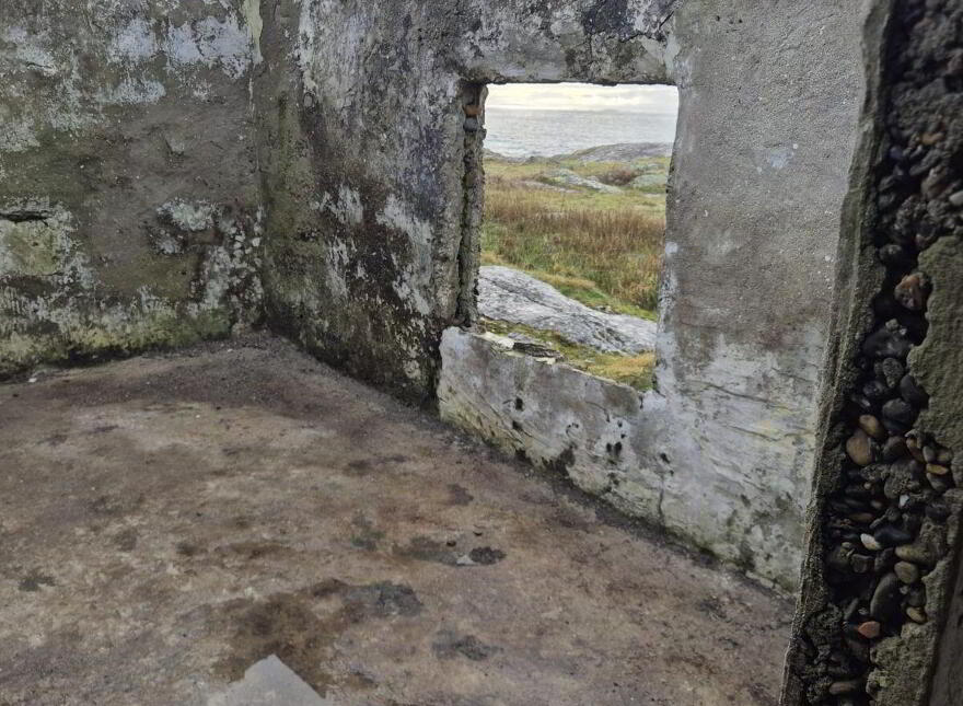 Derelict Cottage, Clifden, ON
