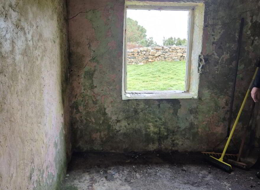 Derelict Cottage, Clifden, ON