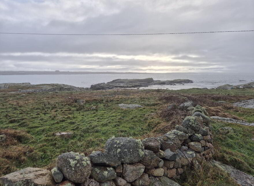 Derelict Cottage, Clifden, ON