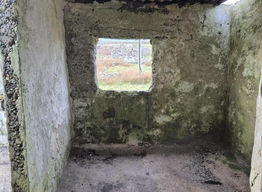Derelict Cottage, Clifden, ON