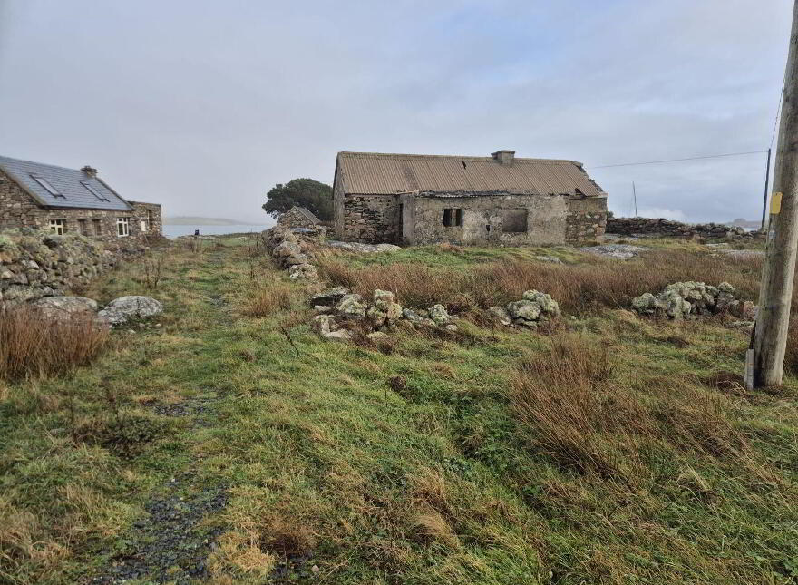 Derelict Cottage, Clifden, ON