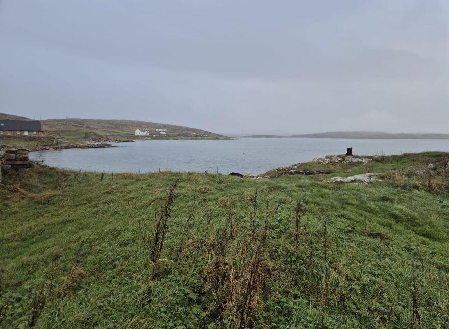 Derelict Cottage, Clifden, ON