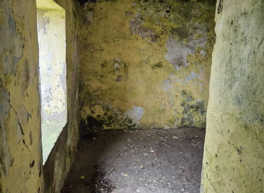 Derelict Cottage, Clifden, ON