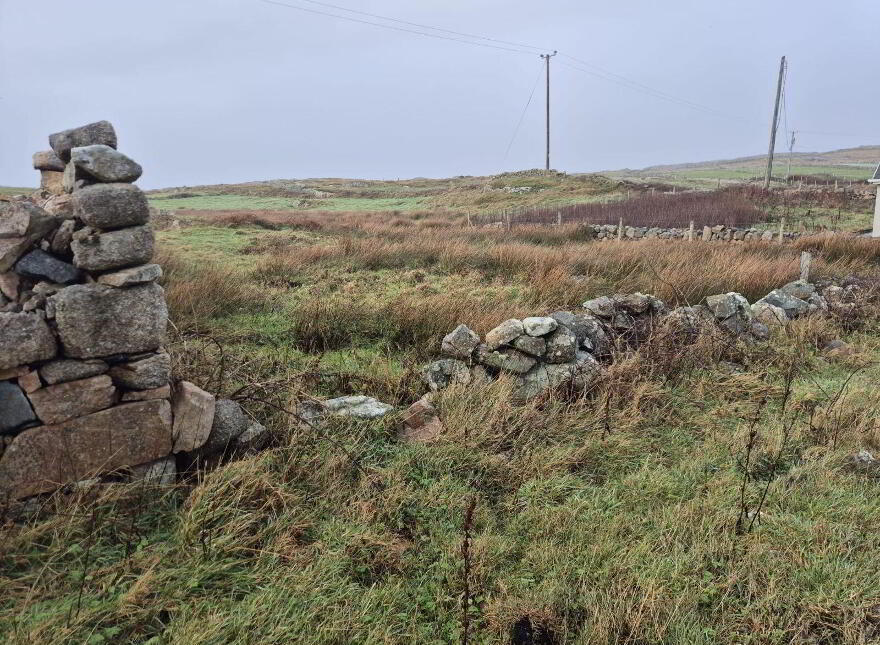 Derelict Cottage, Clifden, ON