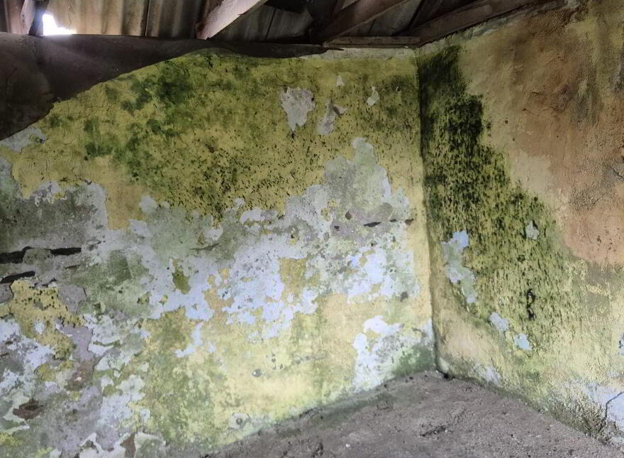 Derelict Cottage, Clifden, ON