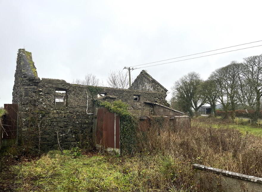 Reaney's Mill, Eskerlevally, Claremorris, F12YH90