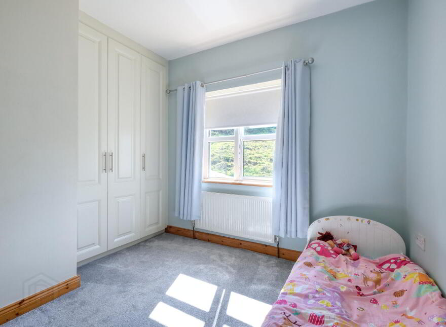 2 Saint John's, Ballinalee, N39W276