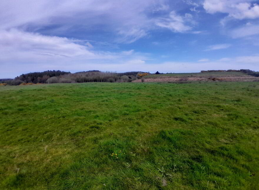 Cuillaun, Swinford