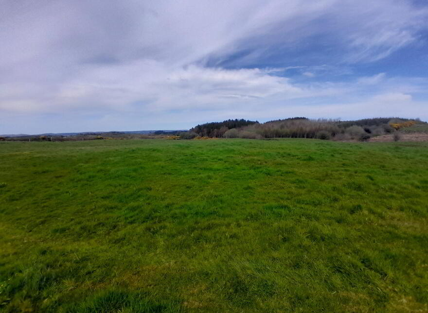 Cuillaun, Swinford