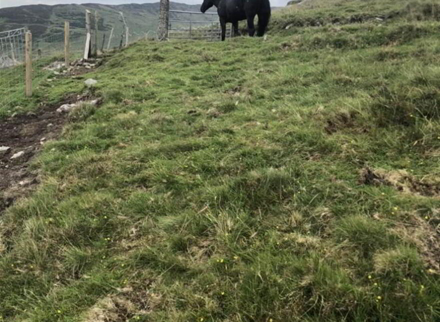Land @, 21 Finnis Road, Dromara, BT25 2EY
