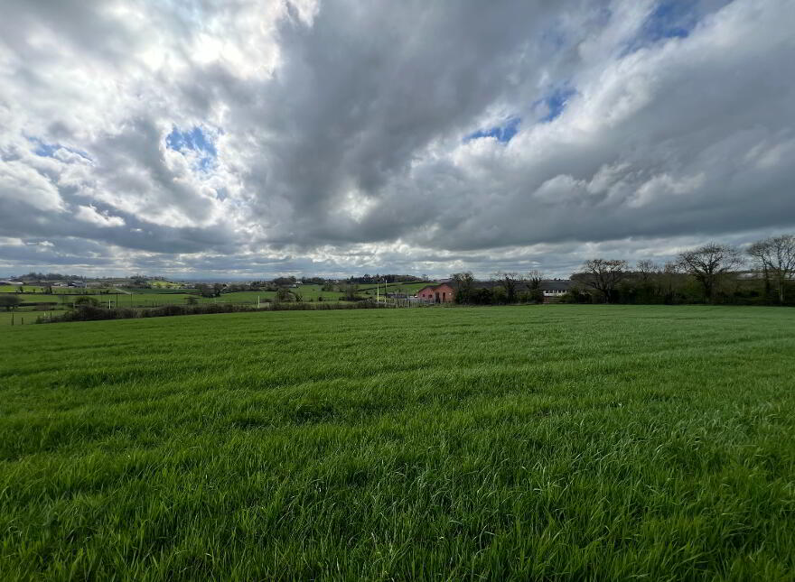 Land At Killymeal Road, Dungannon, BT71 6TP