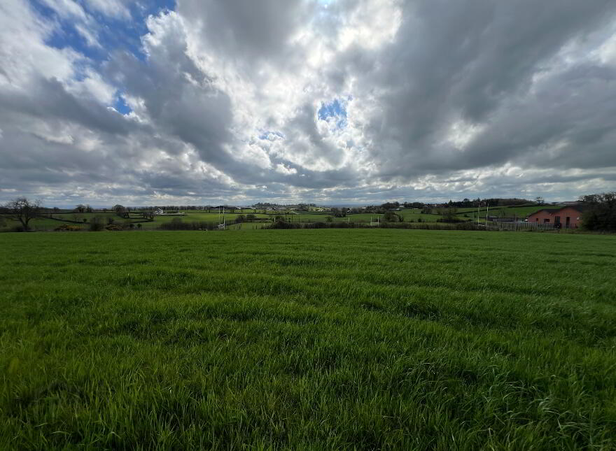 Land At Killymeal Road, Dungannon, BT71 6TP