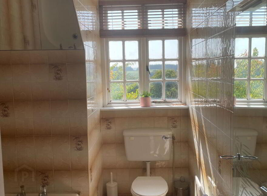 Strawhall, Fermoy, Fermoy, P61Y274