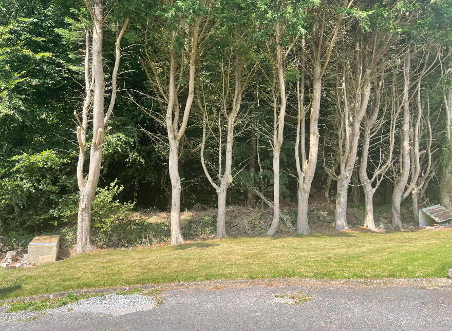 Strawhall, Fermoy, Fermoy, P61Y274