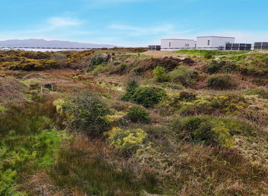 Leckenagh, Burtonport