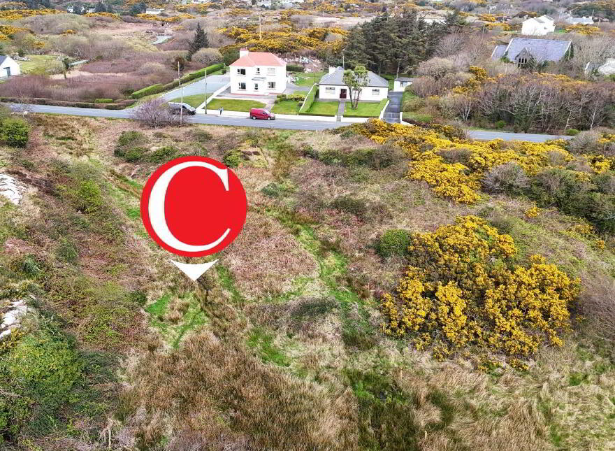 Leckenagh, Burtonport