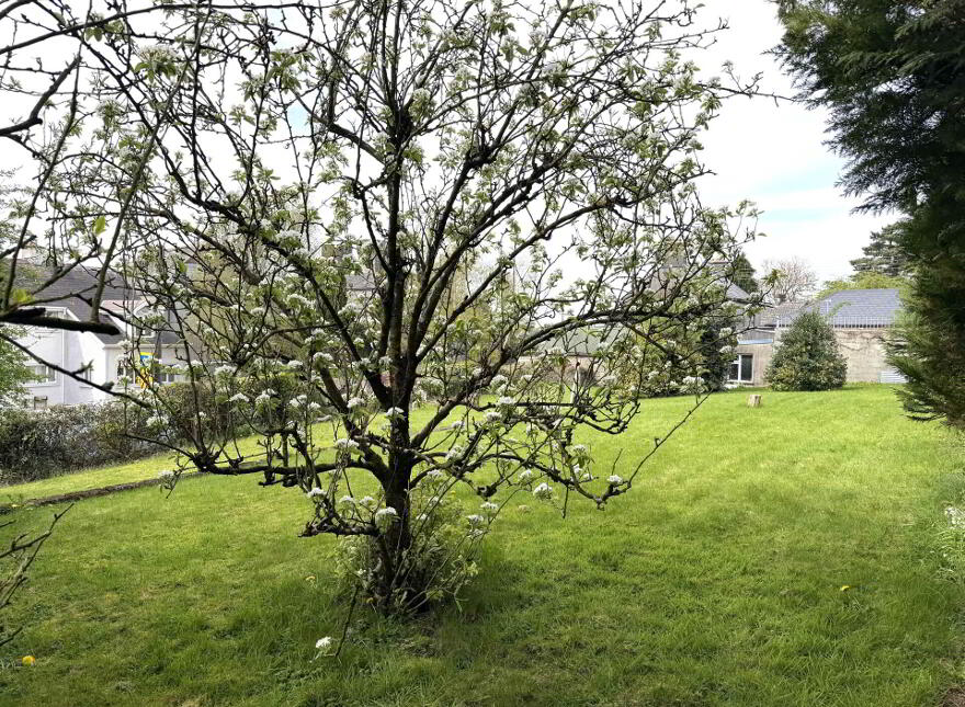 Avonlea, New Road, Roscrea, E53AW68