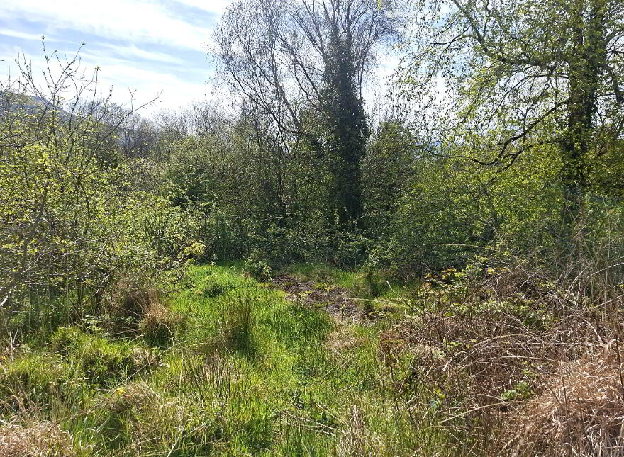 Pinelodge, Edenville, F91 D6ho, Kinlough, F91D6HO