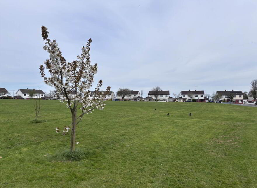 Blackcastle, Navan, C15N525