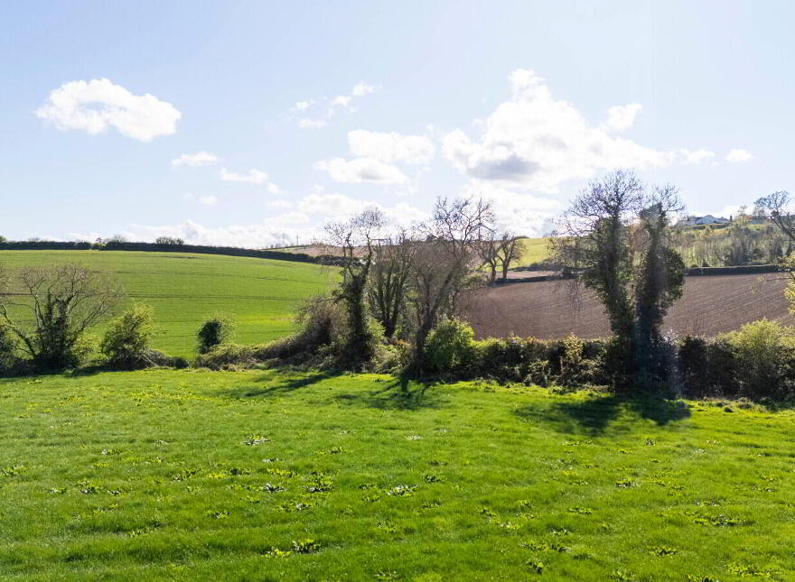 C.41 Acres Of Agricultural Lands At, Milecross Road, Newtownards, BT23 4TX