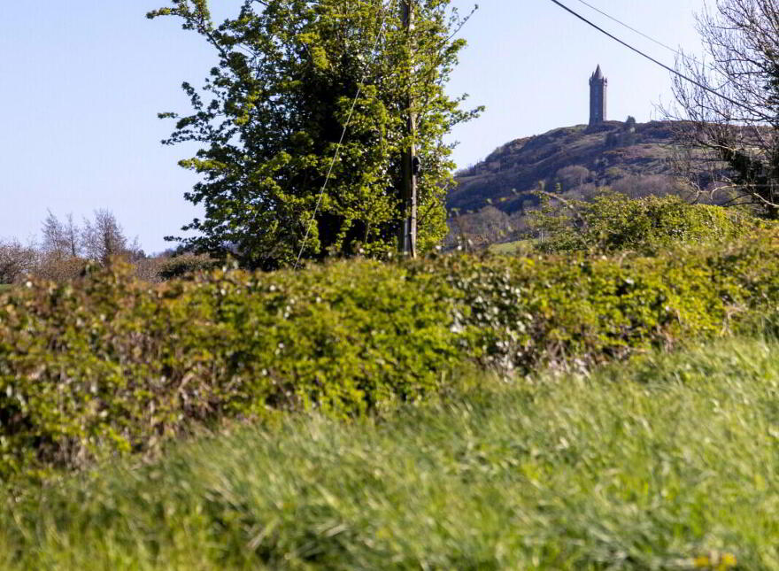 C.41 Acres Of Agricultural Lands At, Milecross Road, Newtownards, BT23 4TX