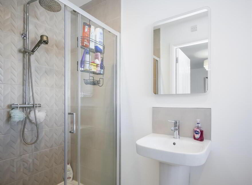 109 Black Quarter Meadow, Ballynahinch Road, Carryduff, Belfast, BT8 8GF