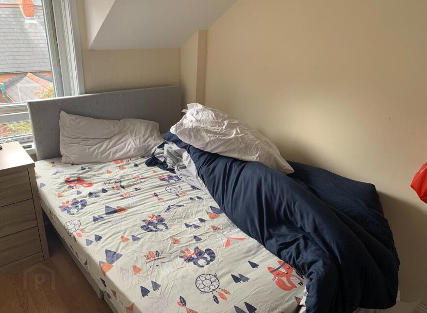 49 Elaine Street, Belfast, BT9 5AR