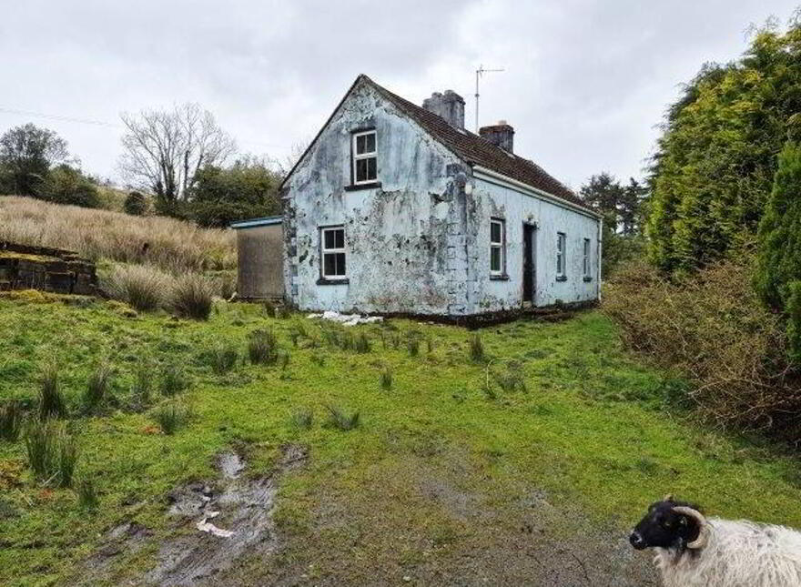 Daragoon, Dowra, N41E894