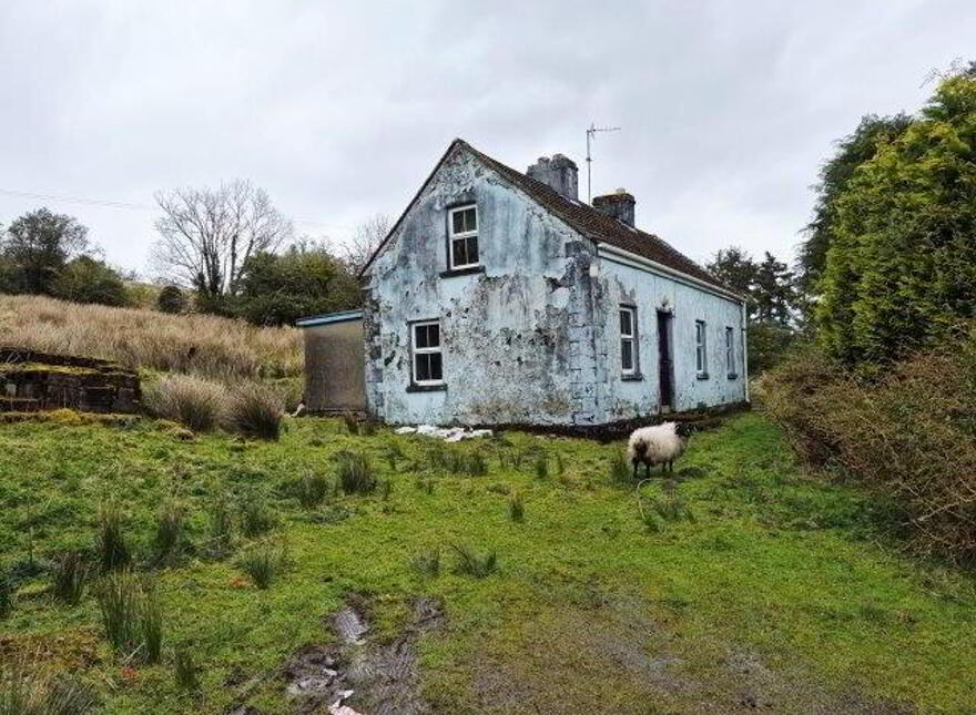 Daragoon, Dowra, N41E894