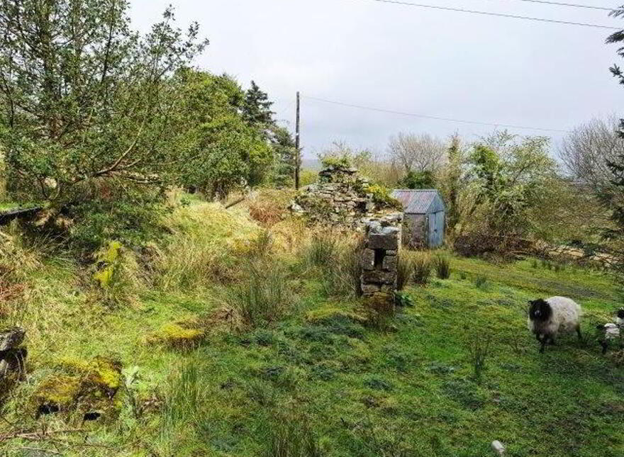 Daragoon, Dowra, N41E894