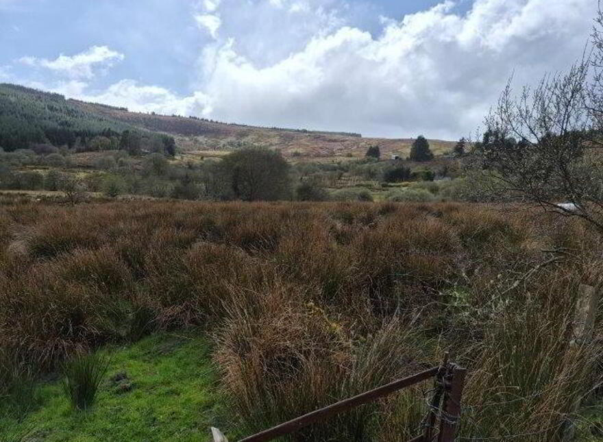 Daragoon, Dowra, N41E894