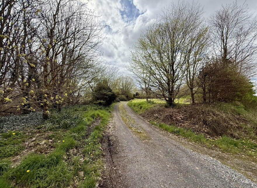 Annagh, Ballyhaunis, F35TV79