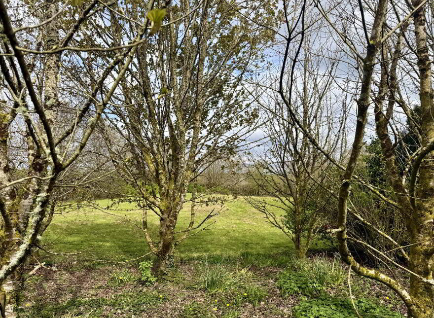 Annagh, Ballyhaunis, F35TV79