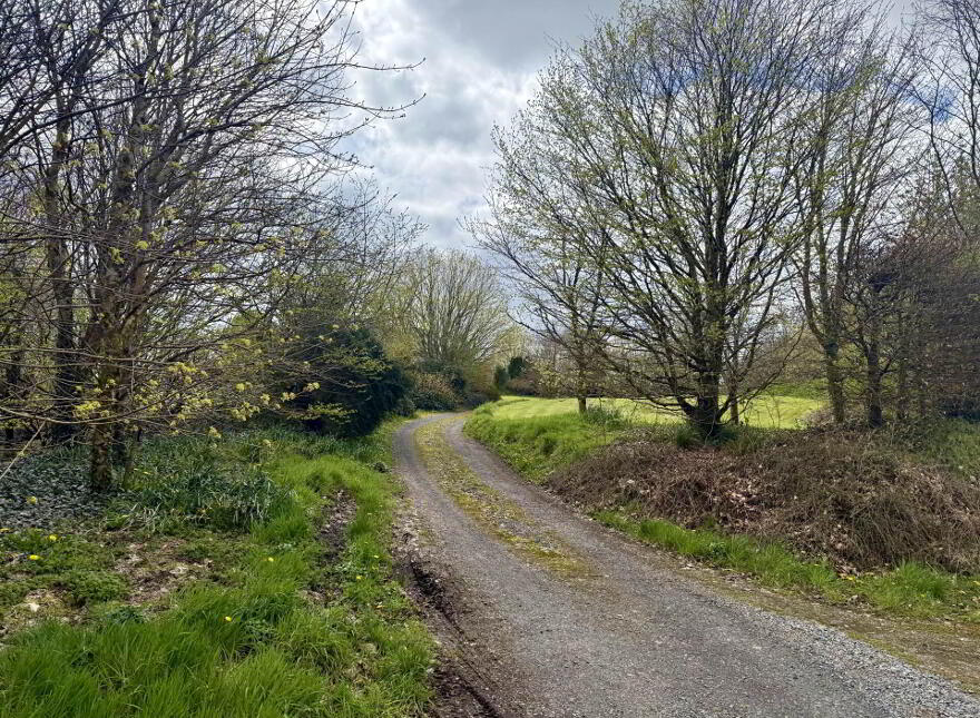 Annagh, Ballyhaunis, F35TV79