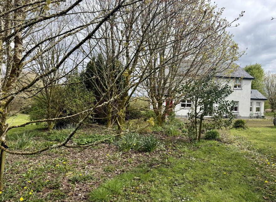 Annagh, Ballyhaunis, F35TV79