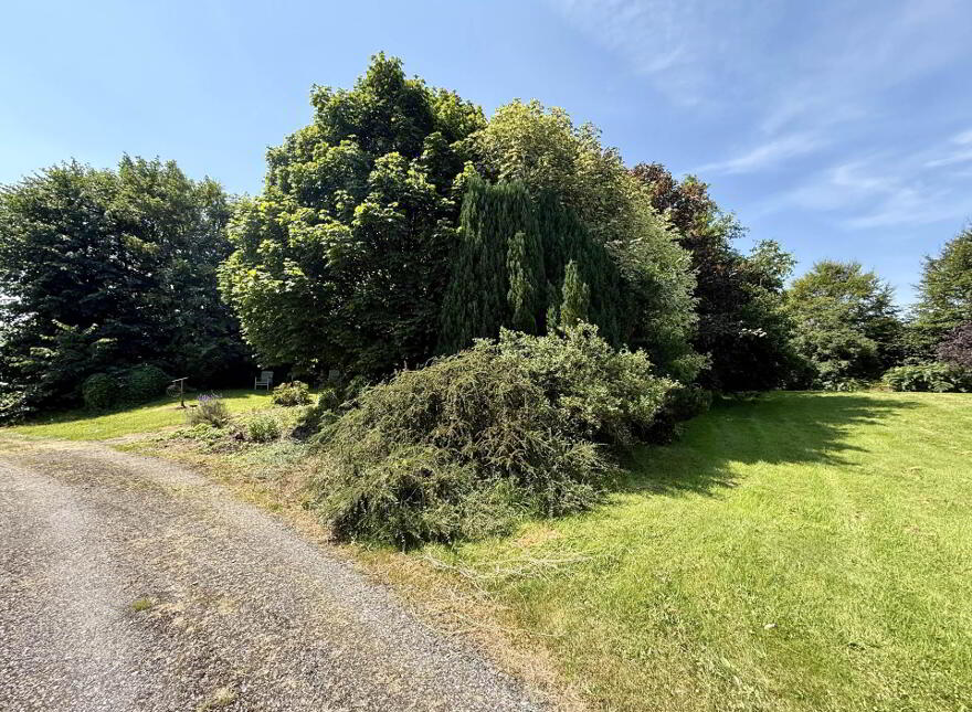 Annagh, Ballyhaunis, F35TV79