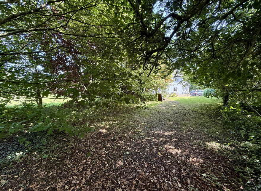 Annagh, Ballyhaunis, F35TV79
