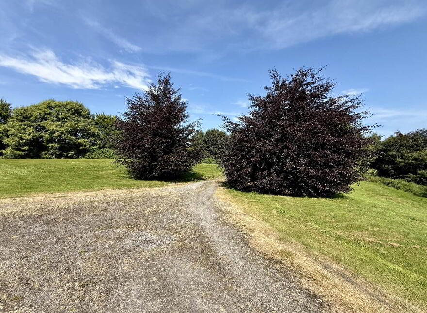 Annagh, Ballyhaunis, F35TV79