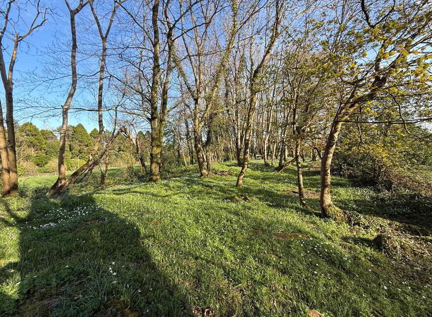 Former Mill Site ( Four Acre Plot), 19 Hillhead Road, Kilrea, BT51 5XS